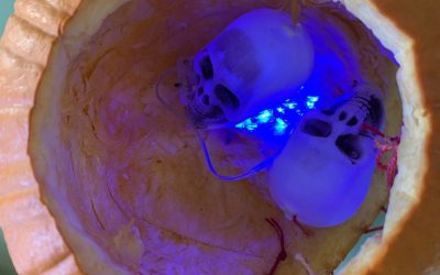 Ganadores del concurso de Manualidades de Halloween