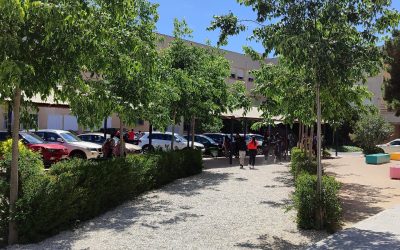 Renaturalizar nuestro instituto para acercarnos a la naturaleza